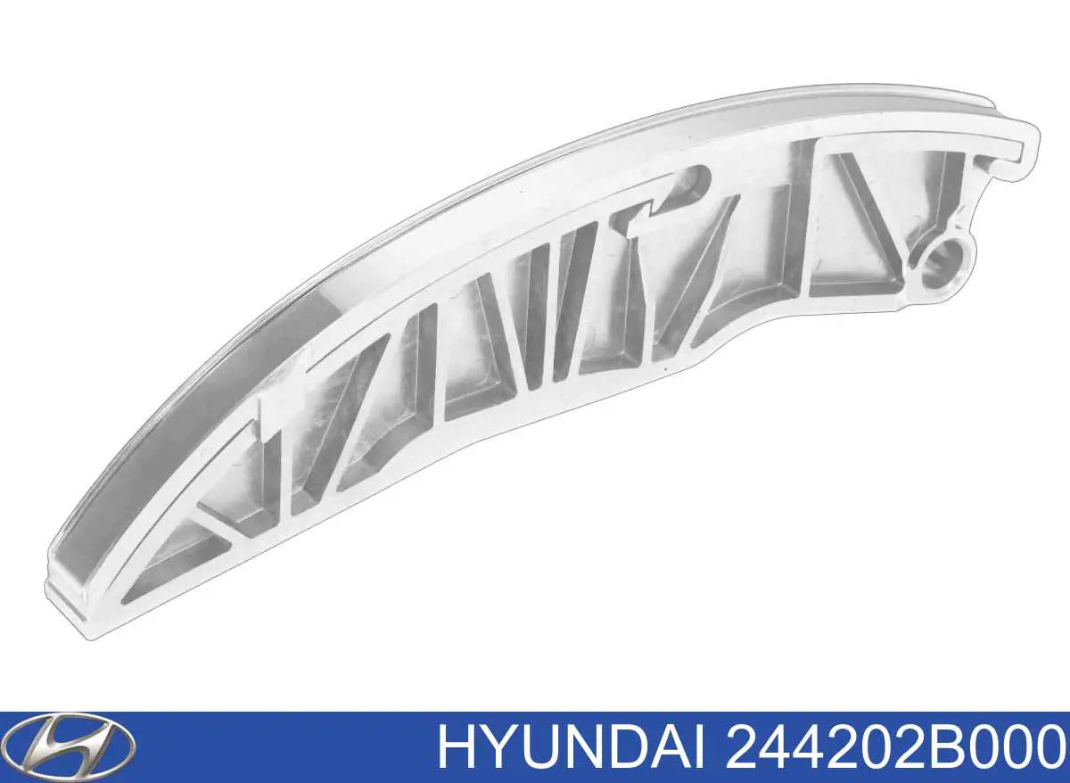 244202B000 Hyundai/Kia Sapato de reguladora de tensão da cadeia do mecanismo de distribuição de gás