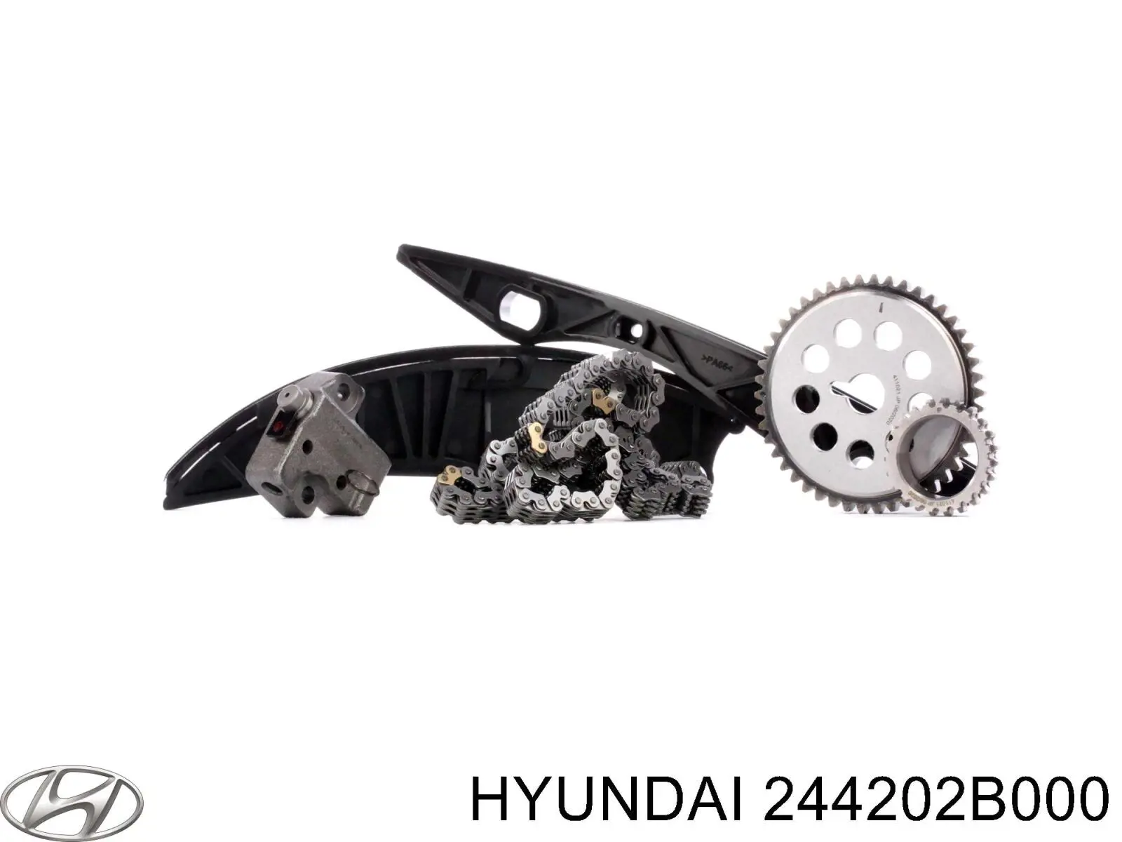 Sapato de reguladora de tensão da cadeia do mecanismo de distribuição de gás Hyundai/Kia 244202B000 preço, a partir de 10,86 USD