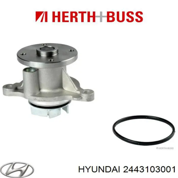 2443103001 Hyundai/Kia Amortecedor de cadeia do mecanismo de distribuição de gás