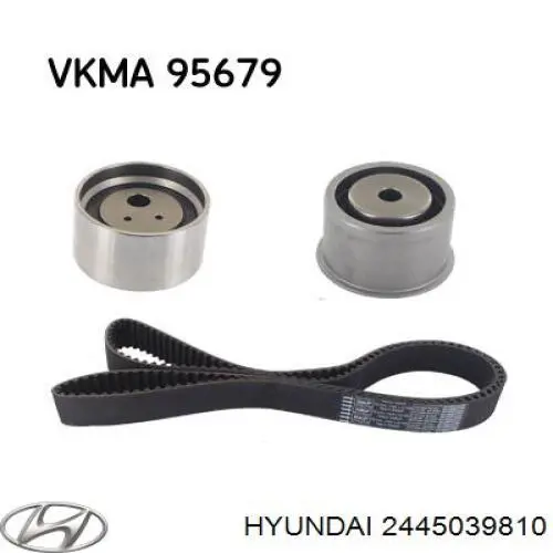 Compre 2445039810 Hyundai/Kia Rolo de reguladora de tensão da correia do mecanismo de distribuição de gás