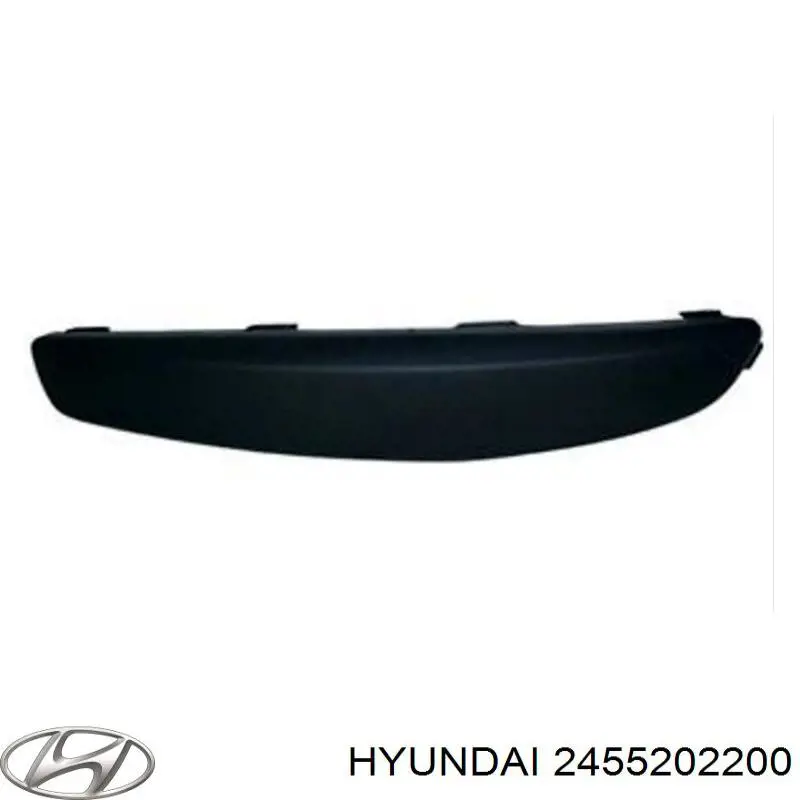 2455202200 Hyundai/Kia Balanceiro de válvula (balanceiro de válvulas) de escape