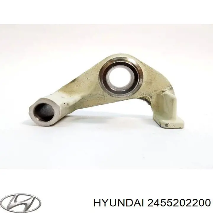Balanceiro de válvula (balanceiro de válvulas) de escape Hyundai/Kia 2455202200 preço, a partir de 23,58 USD