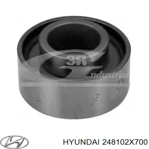 Compre 248102X700 Hyundai/Kia Rolo parasita da correia do mecanismo de distribuição de gás
