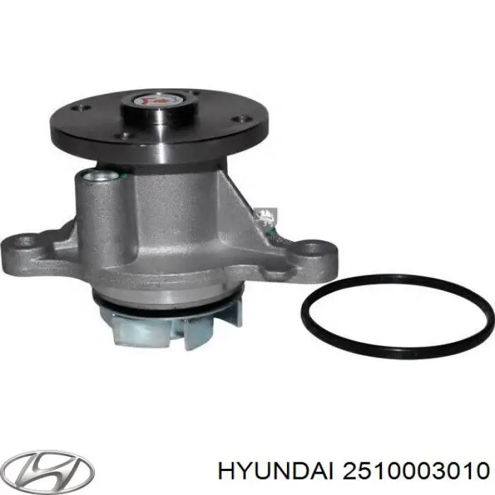 Compre 2510003010 Hyundai/Kia Bomba de água (bomba) de esfriamento
