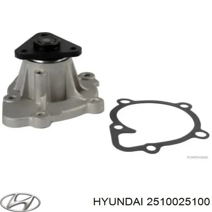 Compre 2510025100 Hyundai/Kia Bomba de água (bomba) de esfriamento, montada com caixa