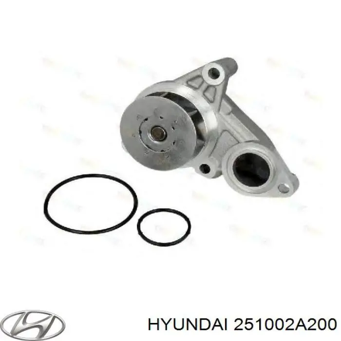 Compre 251002A200 Hyundai/Kia Bomba de água (bomba) de esfriamento