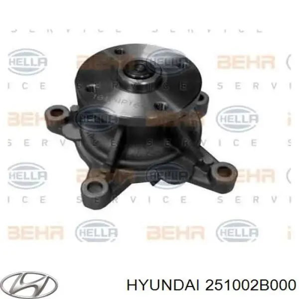 Compre 251002B000 Hyundai/Kia Bomba de água (bomba) de esfriamento