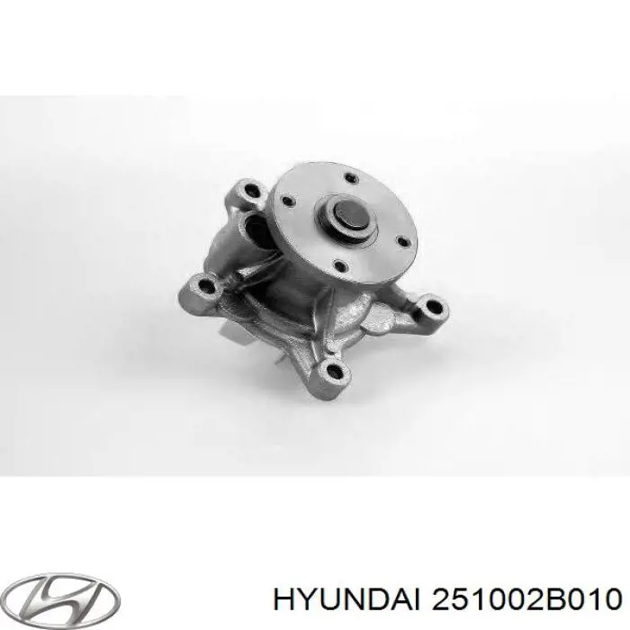 Compre 251002B010 Hyundai/Kia Bomba de água (bomba) de esfriamento