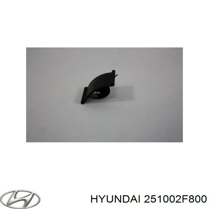 251002F800 Hyundai/Kia Bomba de água (bomba) de esfriamento