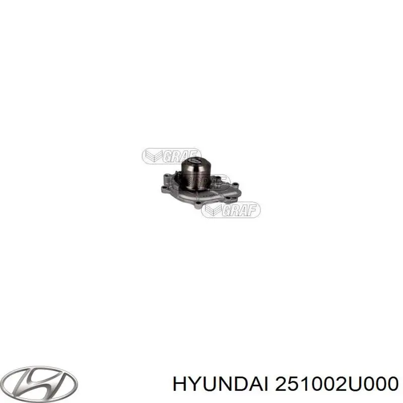 251002U000 Hyundai/Kia Bomba de água (bomba) de esfriamento