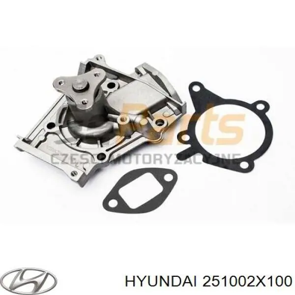 Compre 251002X100 Hyundai/Kia Bomba de água (bomba) de esfriamento