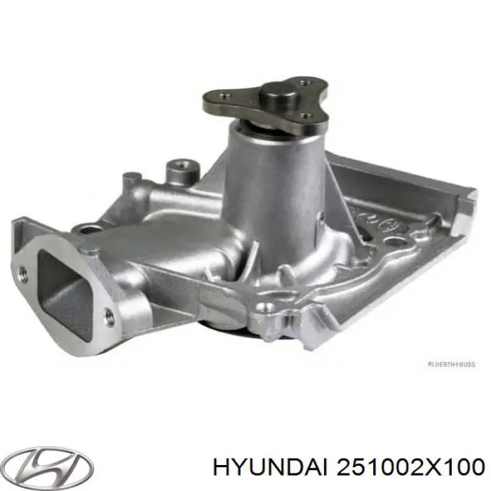 251002X100 Hyundai/Kia Bomba de água (bomba) de esfriamento