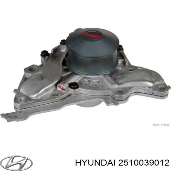 2510039012 Hyundai/Kia Bomba de água (bomba) de esfriamento