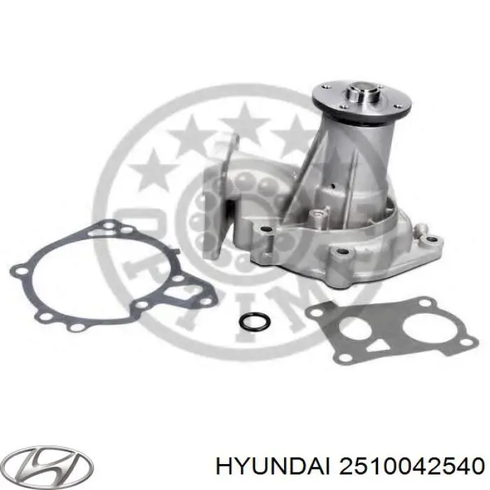 Compre 2510042540 Hyundai/Kia Bomba de água (bomba) de esfriamento