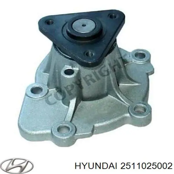 Bomba de água (bomba) de esfriamento Hyundai/Kia 2511025002