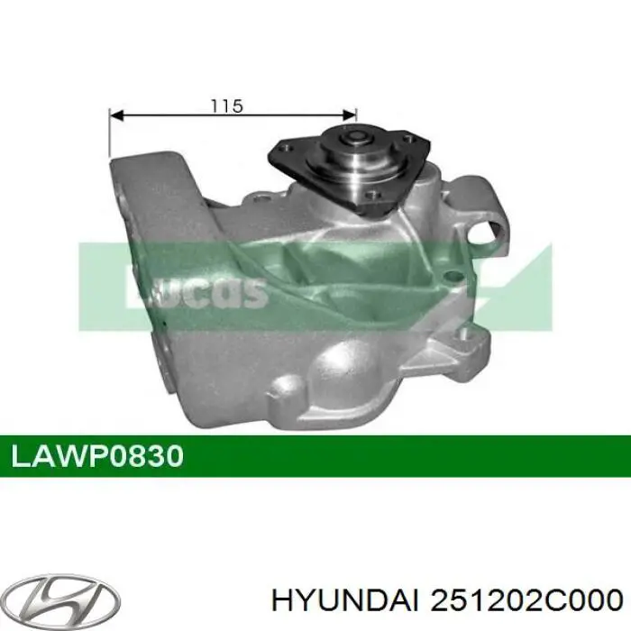 Bomba de água (bomba) de esfriamento 251202C000 Hyundai/Kia
