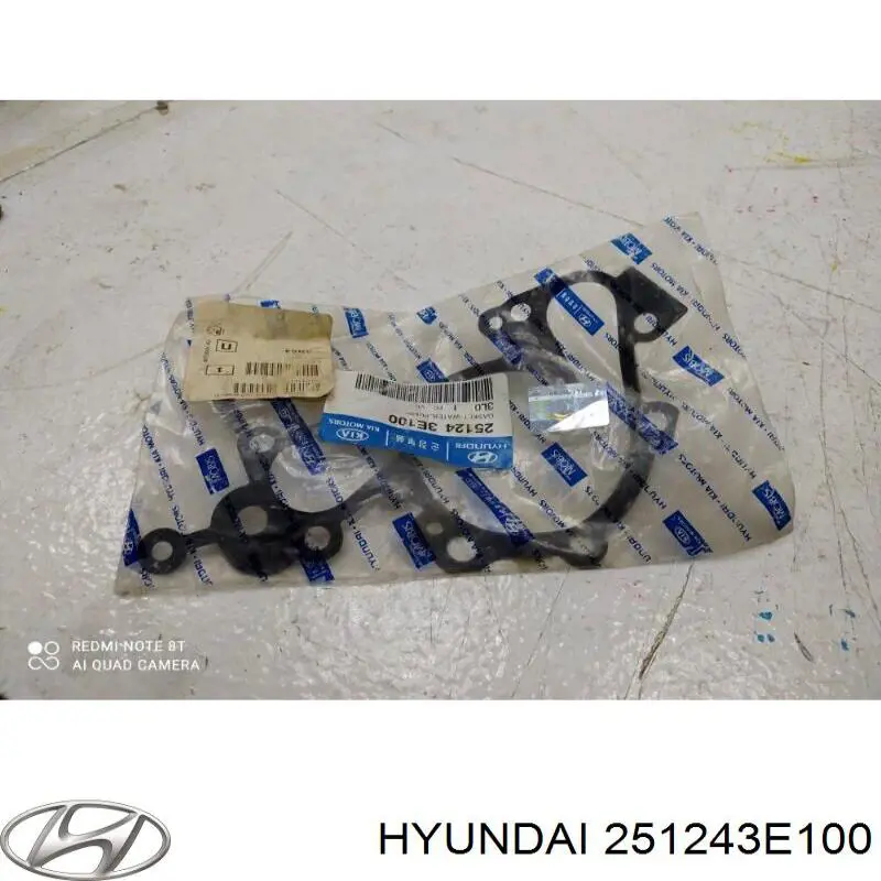 251243E100 Hyundai/Kia Vedante de bomba de água