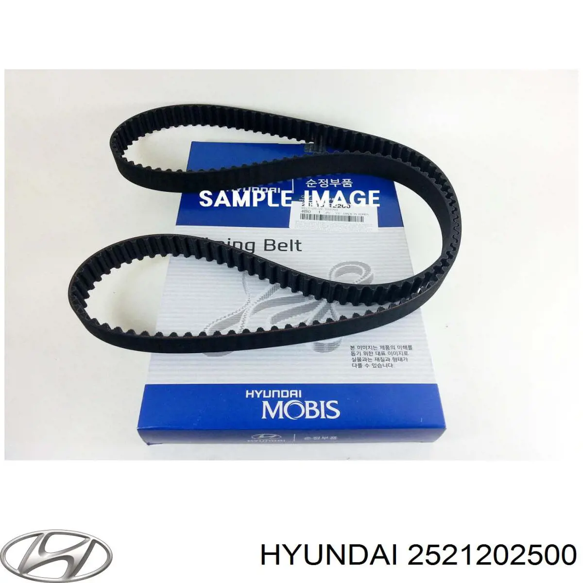 2521202500 Hyundai/Kia Correia dos conjuntos de transmissão