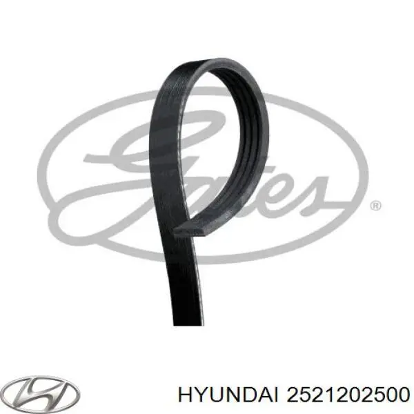 Compre 2521202500 Hyundai/Kia Correia dos conjuntos de transmissão