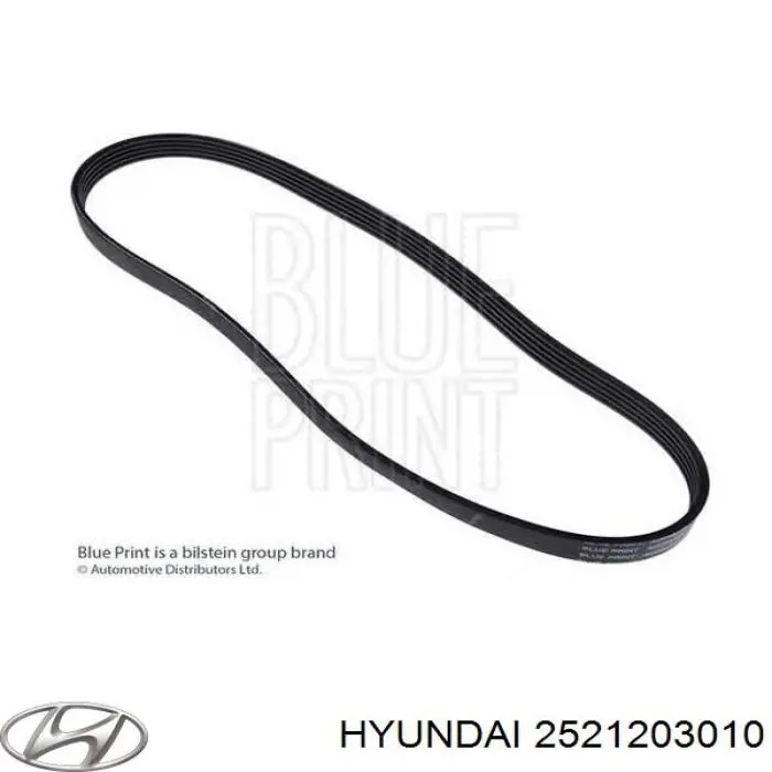 2521203010 Hyundai/Kia Correia dos conjuntos de transmissão