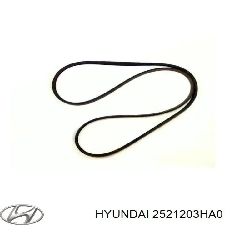 Correia dos conjuntos de transmissão Hyundai/Kia 2521203HA0 preço, a partir de 23,20 USD