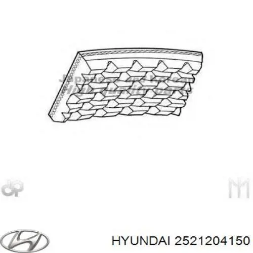 2521204150 Hyundai/Kia Correia dos conjuntos de transmissão