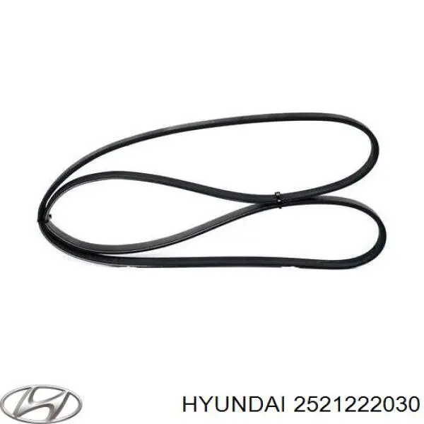 Compre 2521222030 Hyundai/Kia Correia dos conjuntos de transmissão