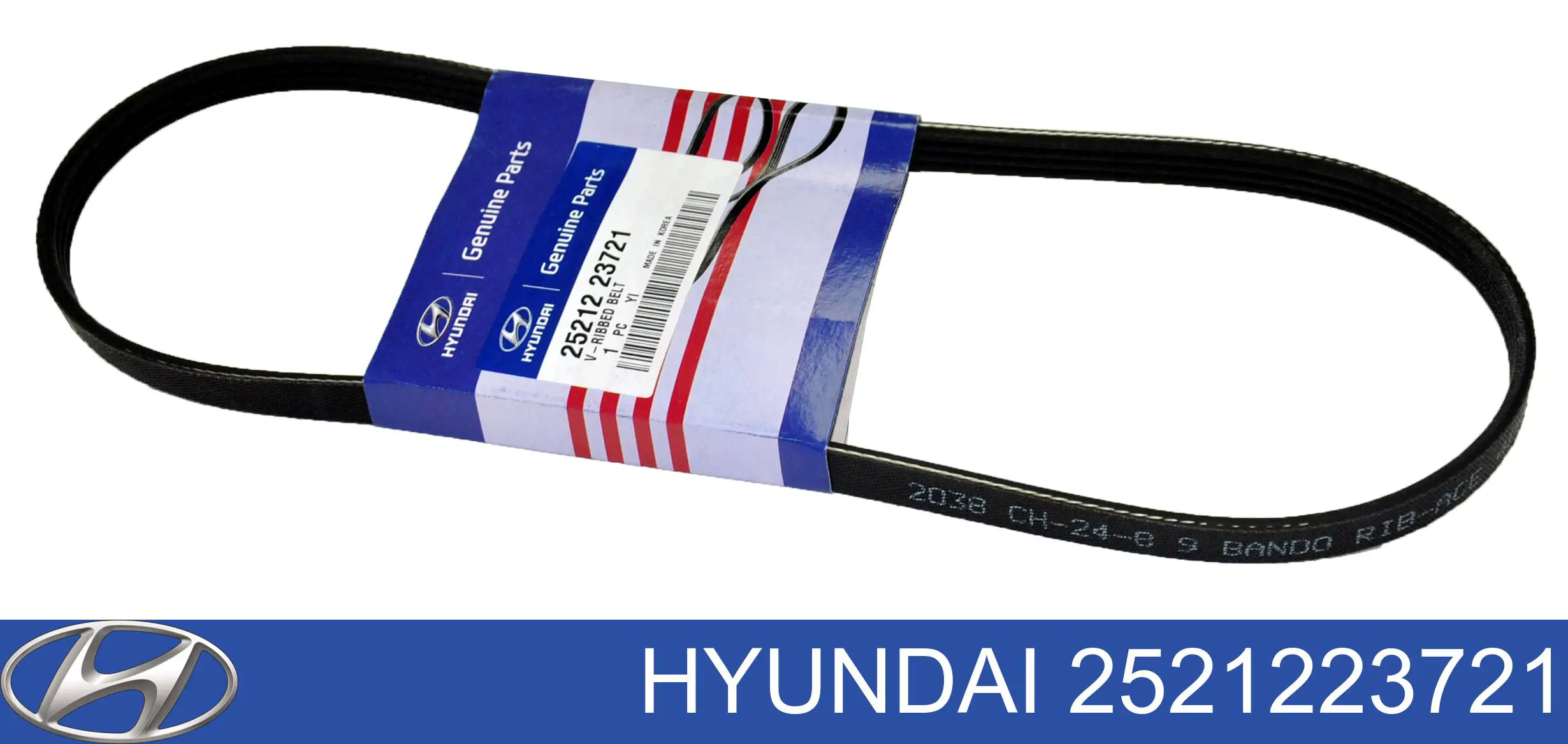 2521223721 Hyundai/Kia Correia dos conjuntos de transmissão