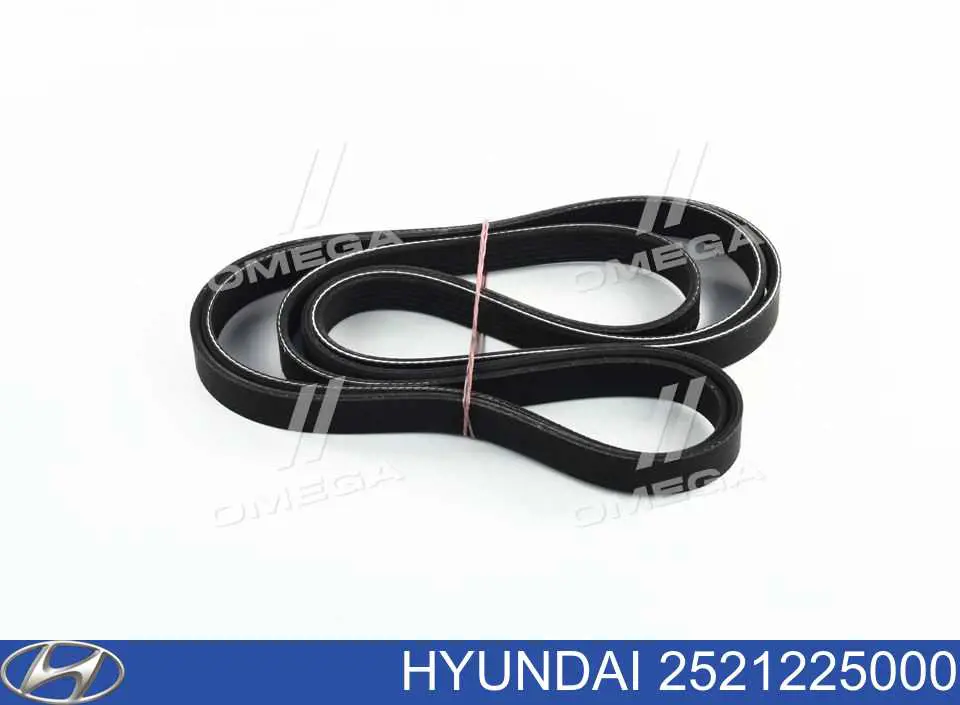 Correia dos conjuntos de transmissão Hyundai/Kia 2521225000 preço, a partir de 40,38 USD