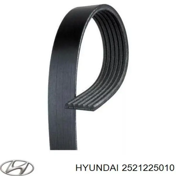 Correia dos conjuntos de transmissão Hyundai/Kia 2521225010