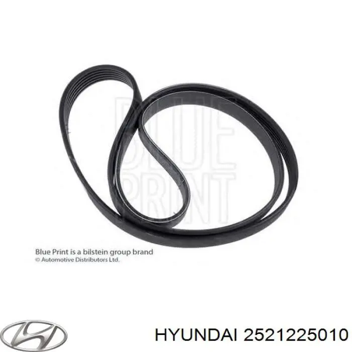 2521225010 Hyundai/Kia Correia dos conjuntos de transmissão