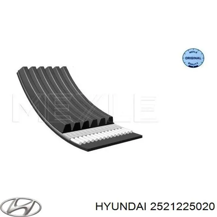 Compre 2521225020 Hyundai/Kia Correia dos conjuntos de transmissão
