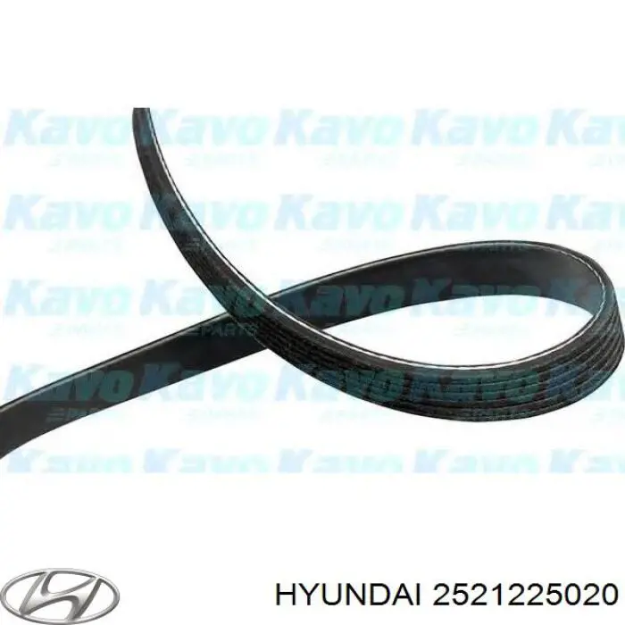 Correia dos conjuntos de transmissão Hyundai/Kia 2521225020 preço, a partir de 36,46 USD