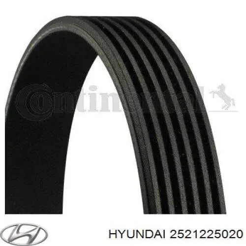 Correia dos conjuntos de transmissão Hyundai/Kia 2521225020 preço, a partir de 36,46 USD