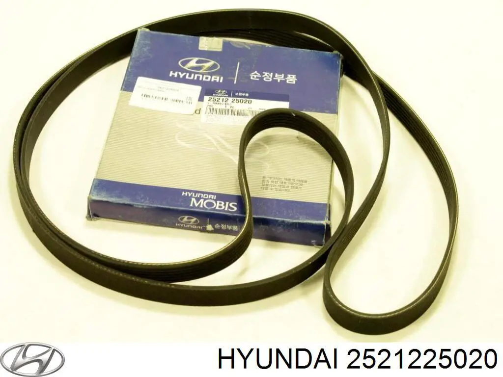 Correia dos conjuntos de transmissão Hyundai/Kia 2521225020