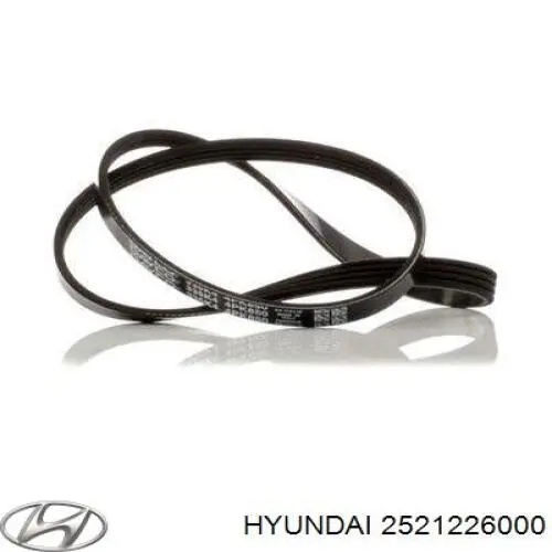 Compre 2521226000 Hyundai/Kia Correia dos conjuntos de transmissão
