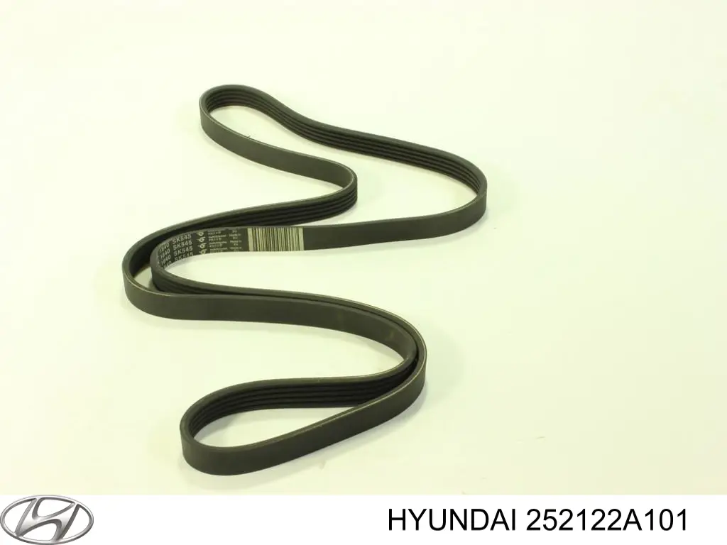 Compre 252122A101 Hyundai/Kia Correia dos conjuntos de transmissão