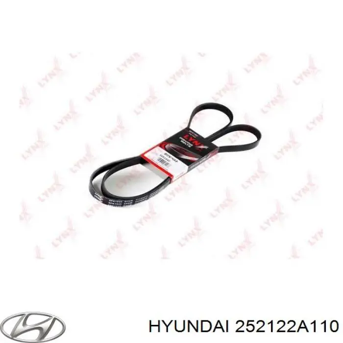 Compre 252122A110 Hyundai/Kia Correia dos conjuntos de transmissão