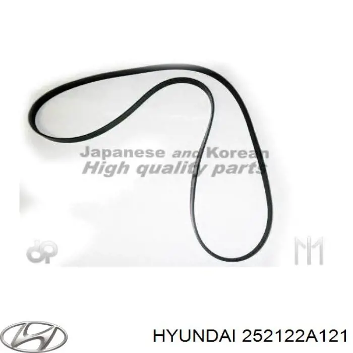 252122A121 Hyundai/Kia Correia dos conjuntos de transmissão