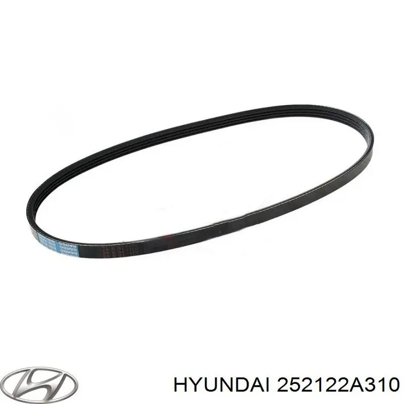 252122A310 Hyundai/Kia Correia dos conjuntos de transmissão