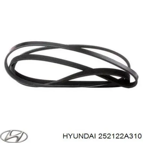 Compre 252122A310 Hyundai/Kia Correia dos conjuntos de transmissão
