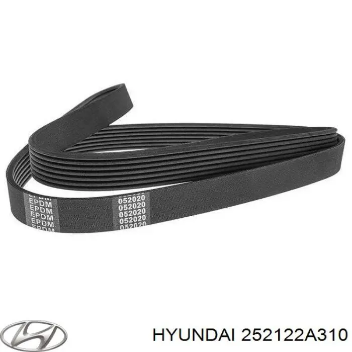 Compre 252122A310 Hyundai/Kia Correia dos conjuntos de transmissão