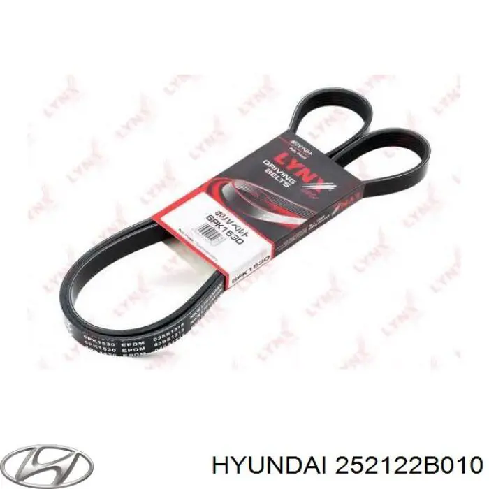 252122B010 Hyundai/Kia Correia dos conjuntos de transmissão