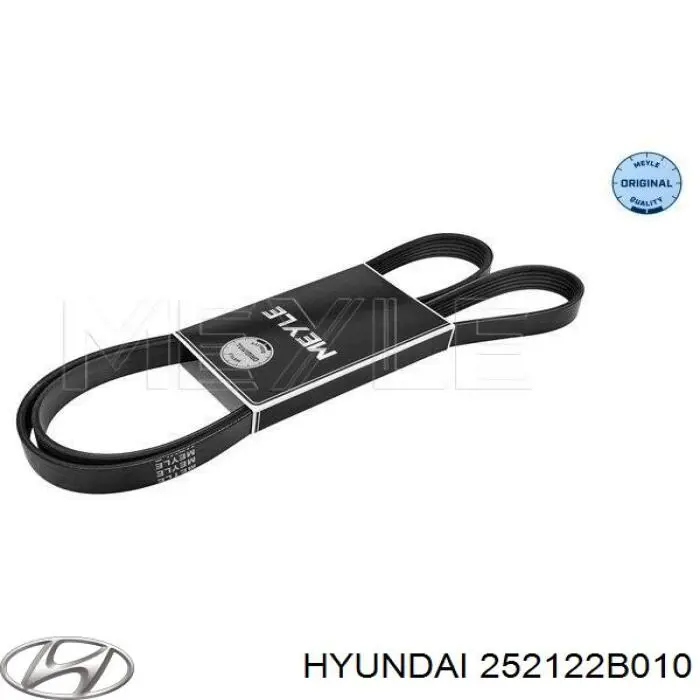 Correia dos conjuntos de transmissão Hyundai/Kia 252122B010 preço, a partir de 15,60 USD