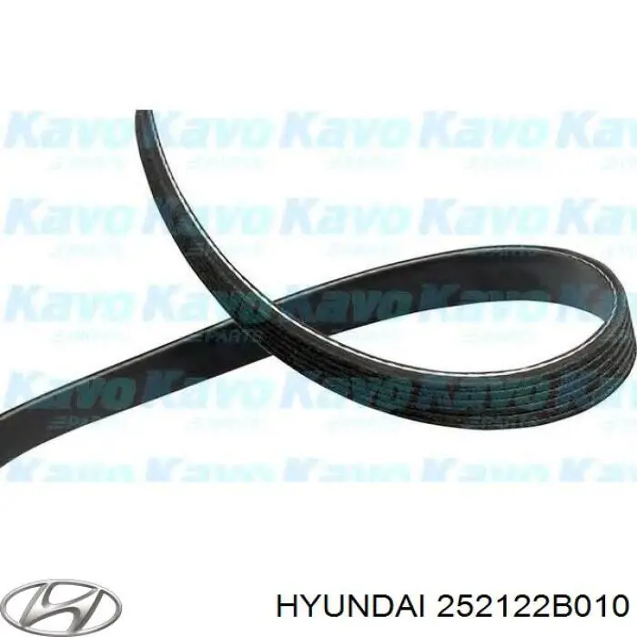 Compre 252122B010 Hyundai/Kia Correia dos conjuntos de transmissão