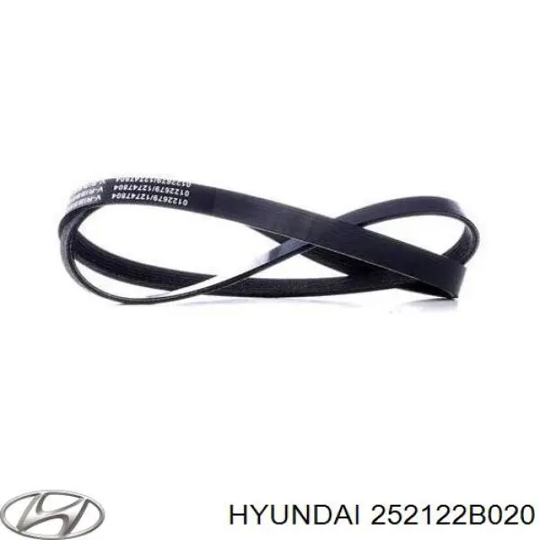 Correia dos conjuntos de transmissão Hyundai/Kia 252122B020 preço, a partir de 18,25 USD