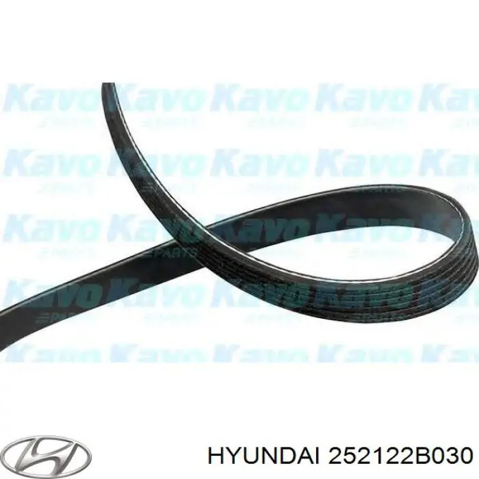 Correia dos conjuntos de transmissão Hyundai/Kia 252122B030 preço, a partir de 19,08 USD