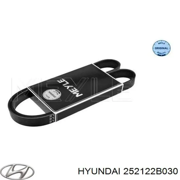 Compre 252122B030 Hyundai/Kia Correia dos conjuntos de transmissão