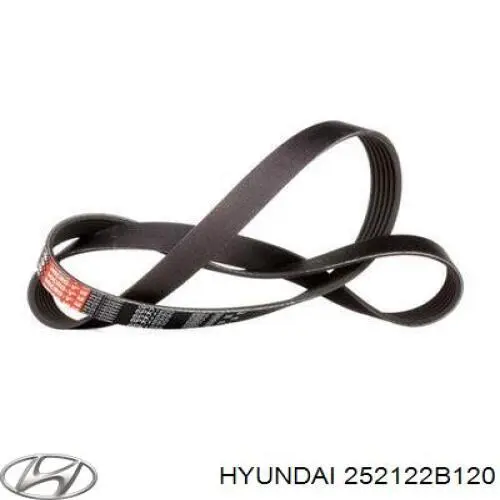 Correia dos conjuntos de transmissão Hyundai/Kia 252122B120 preço, a partir de 18,25 USD