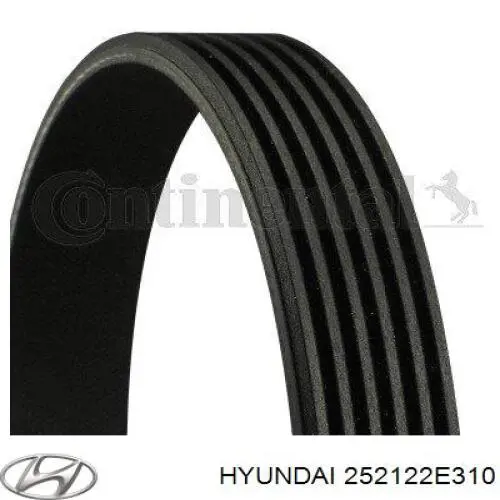 252122E310 Hyundai/Kia Correia dos conjuntos de transmissão